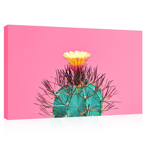 Canvas Print -  Blooming Cactus On Pink Background #E0805