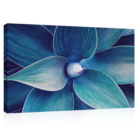 Impression sur toile - Plante d'agave #E0654