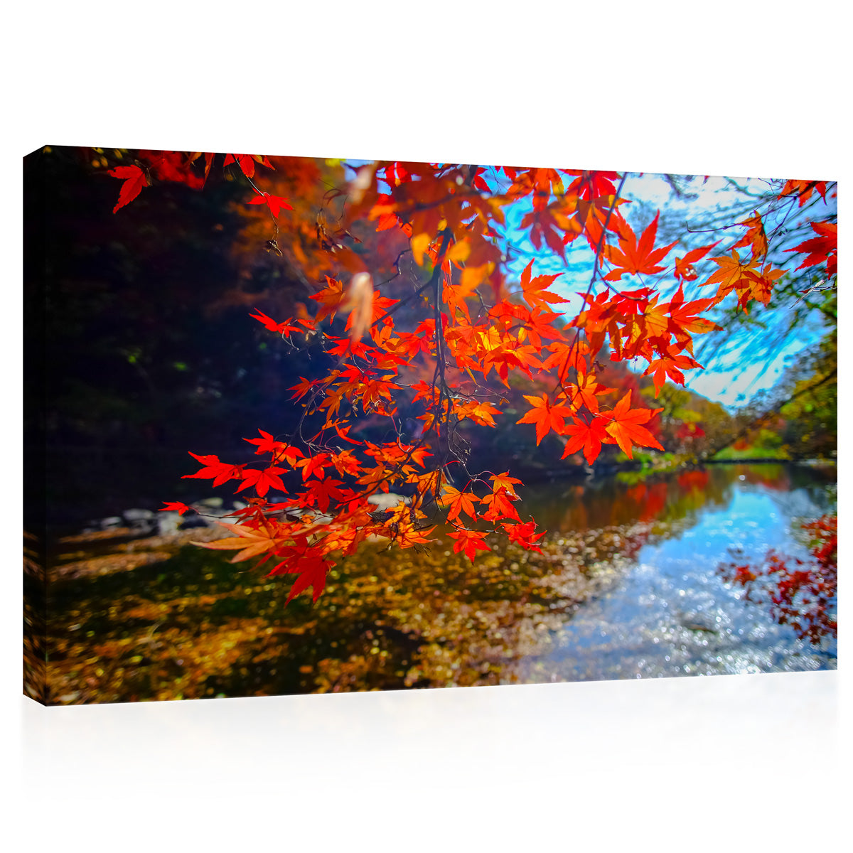 Canvas Print -  Colorful Autumn Tree #E0878