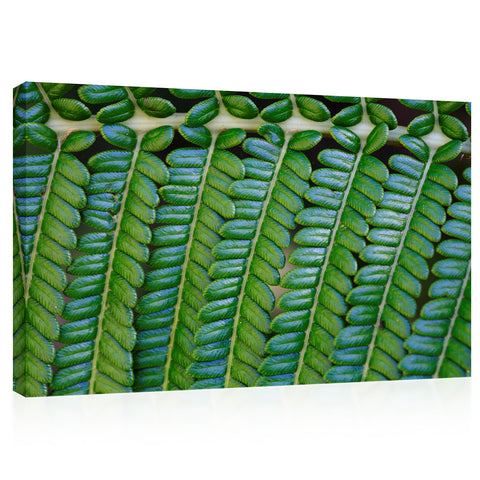 Canvas Print -  Fern Leaf #E0689