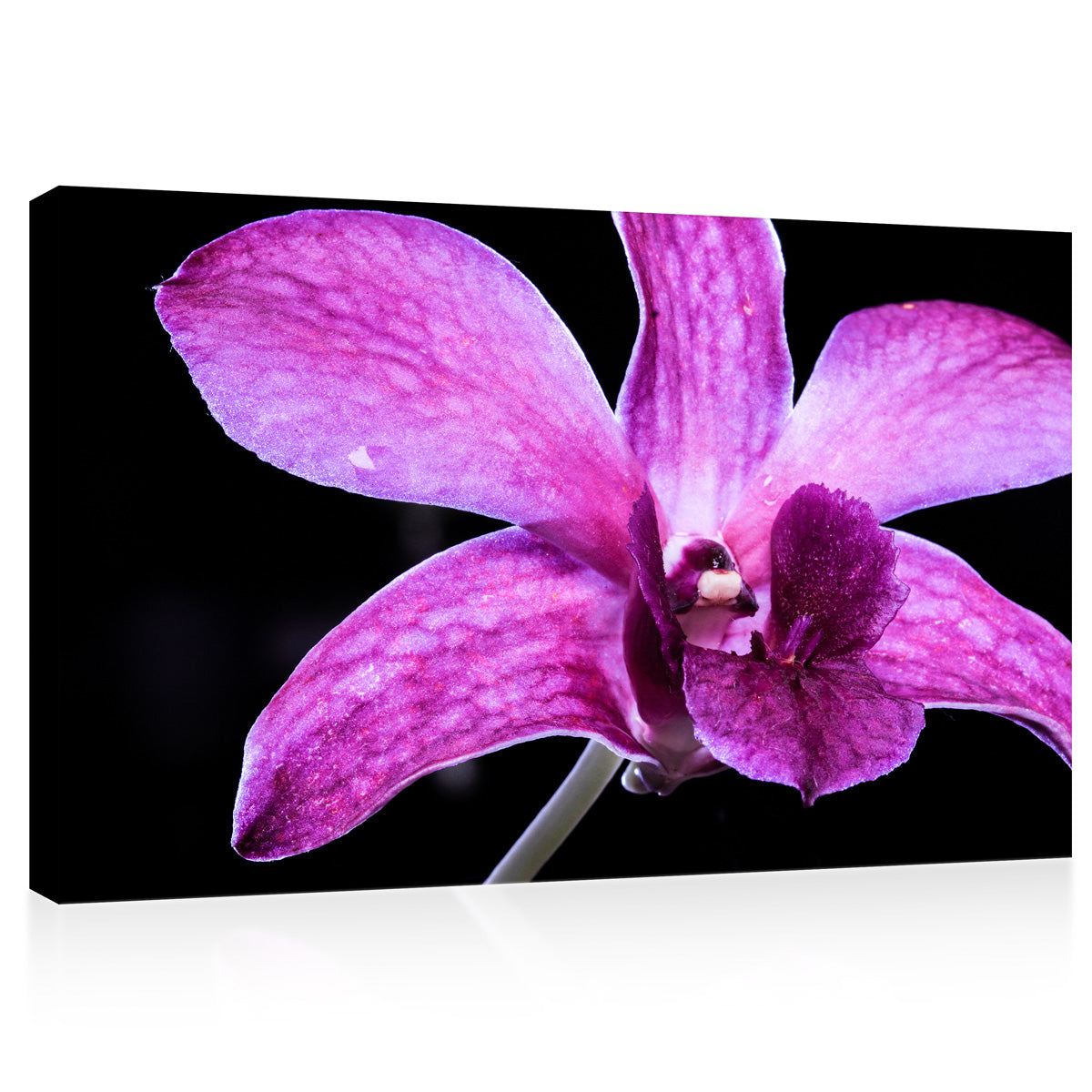 Impression sur toile - Orchidée rose #E0663