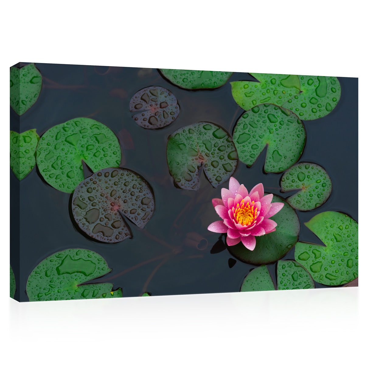 Impression sur toile - Fleur de Lotus #E0840