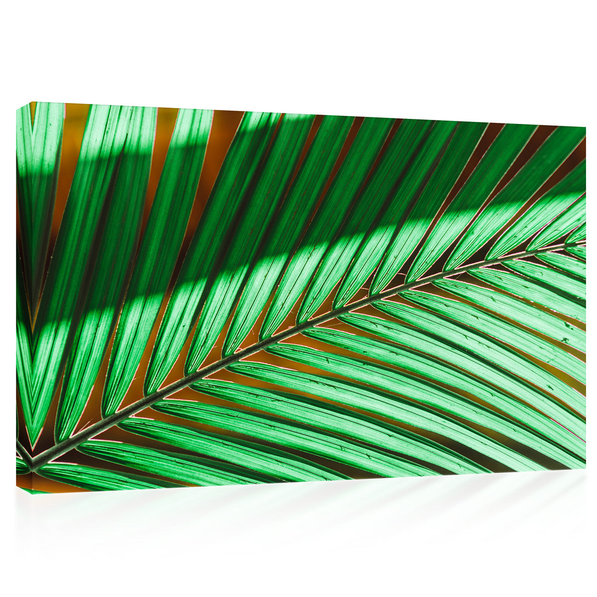 Canvas Print -  Green Palm Branch #E0716