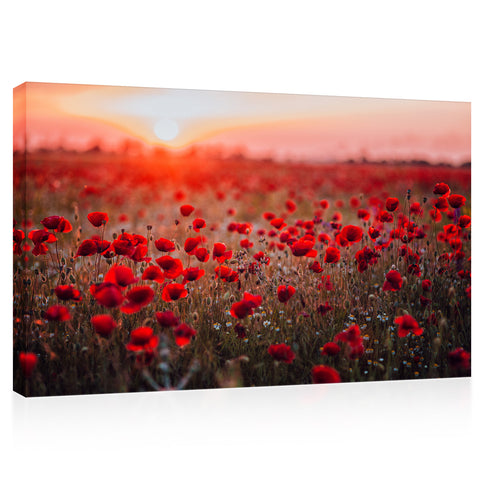 Impression sur toile - Champ de feu de coquelicots rouges au coucher du soleil #E0629