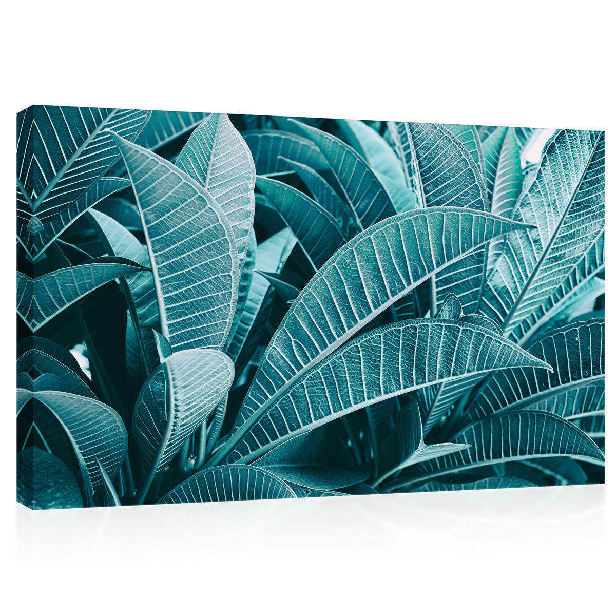 Canvas Print -  Frangipani Foliage #E0638