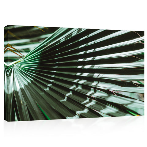 Canvas Print -  Sunlight At Green Palm Branch #E0715