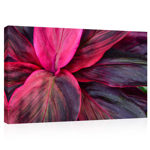 Canvas Print -  Leafs Of Spathiphyllum Cannifolium #E0646