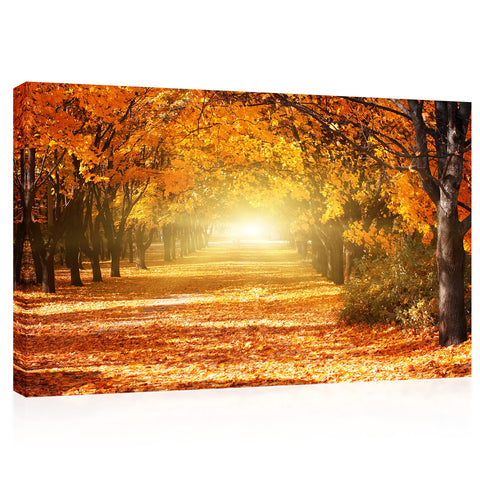 キャンバスプリント - 公園の美しいロマンチックな秋の路地＃e0124
