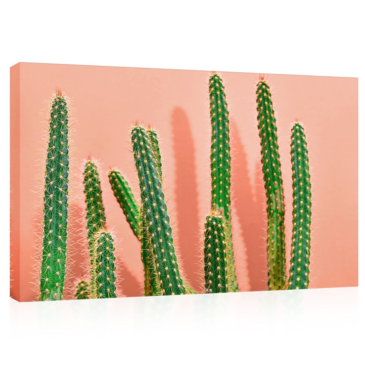 Canvas Print -  Green Cactus On Pastel Background #E0811