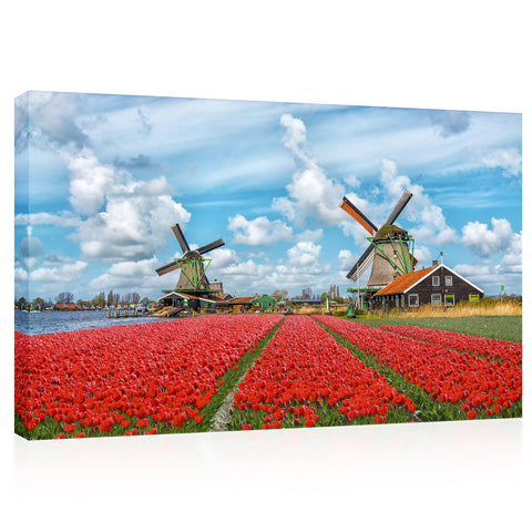 Canvas Print -  Field Of Red Tulips, Holland, Netherlands #E0751