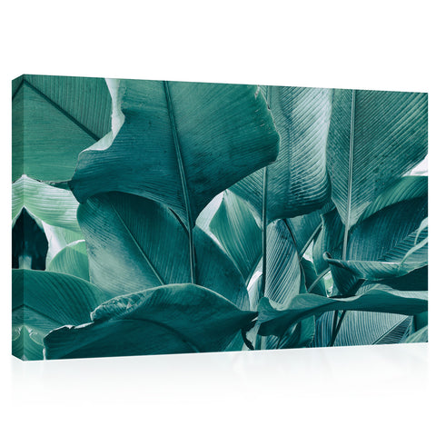 Canvas Print -  Big Foliage In Rainforest #E0645