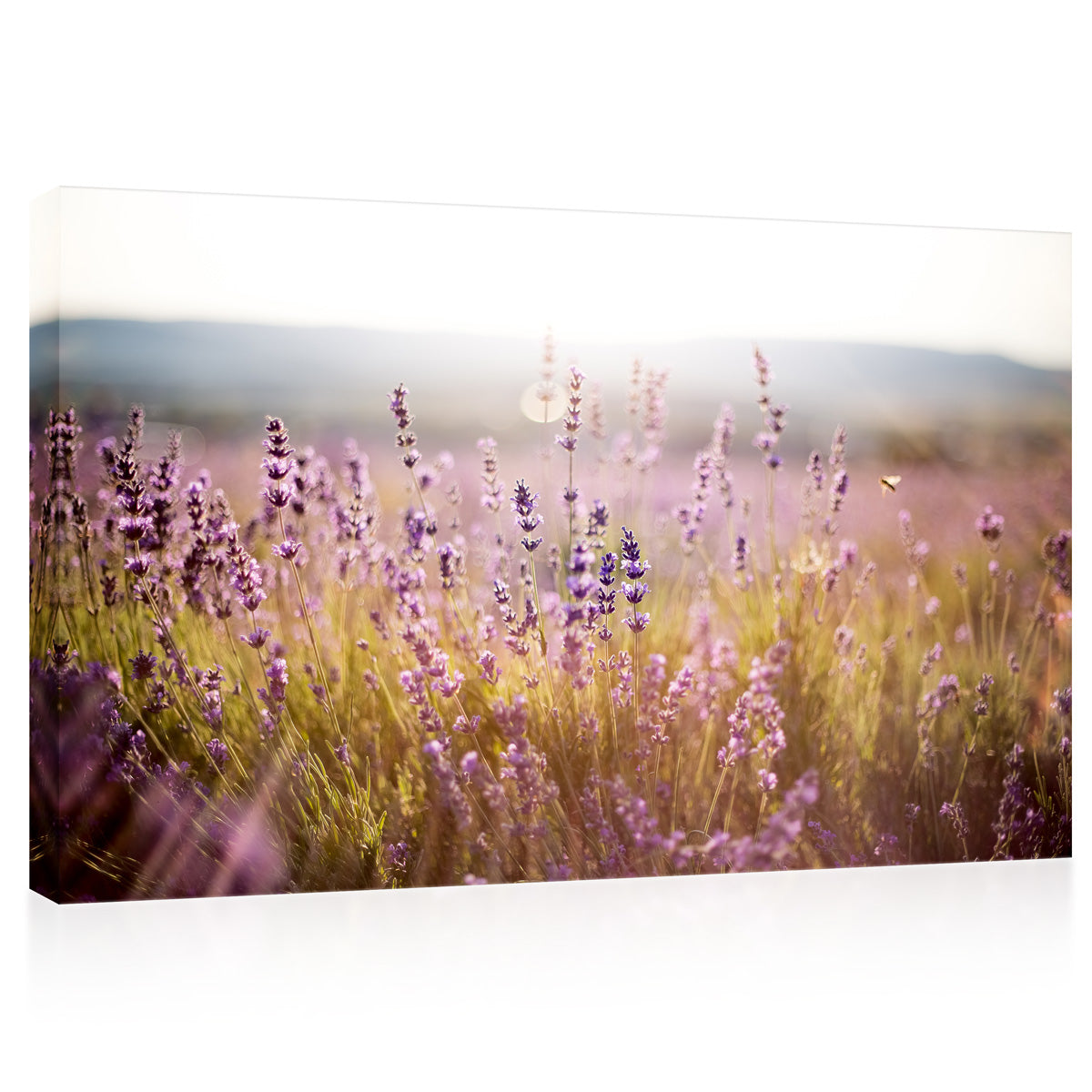 Canvas Print -  Lavender Field At Morning #E0790