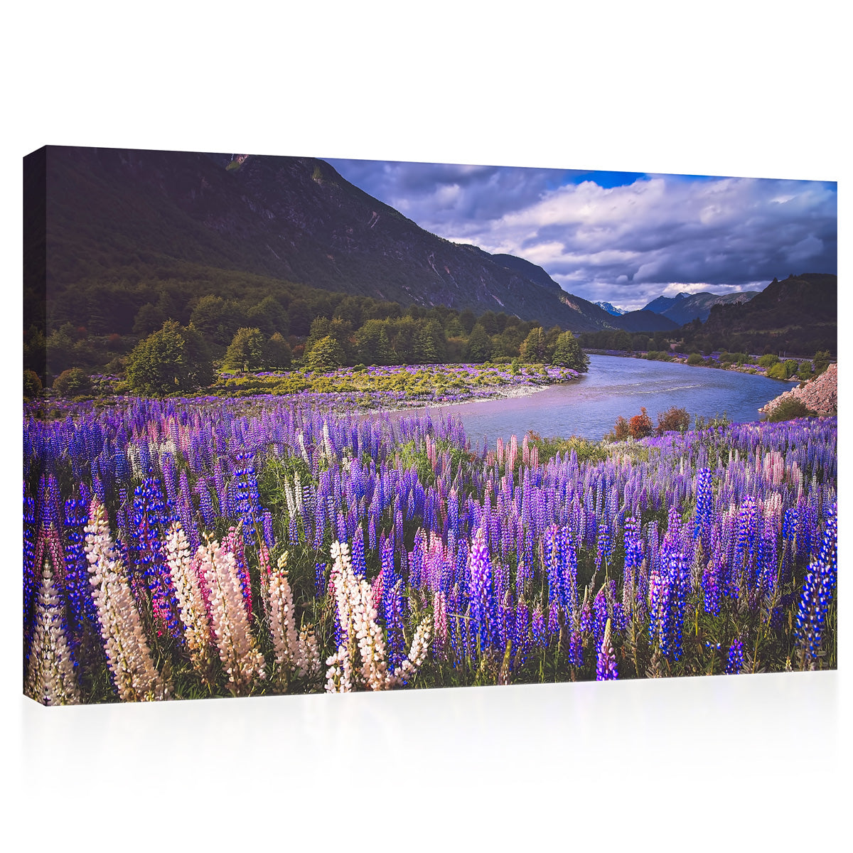 Canvas Print -  Lupin Field And Mountain River Scenery In Chilean Patagonia, Chile #E0584