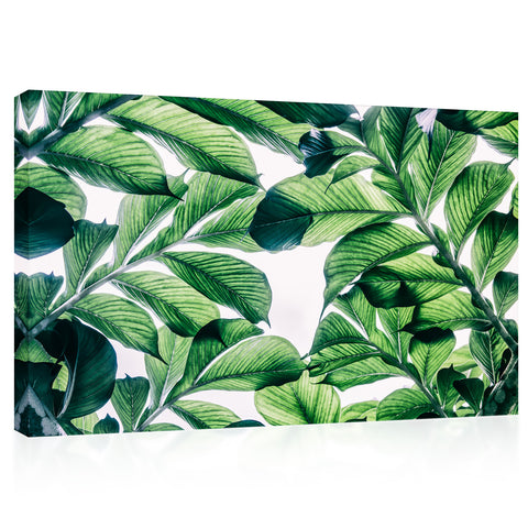 Impression sur toile - Feuilles vertes exotiques #E0664