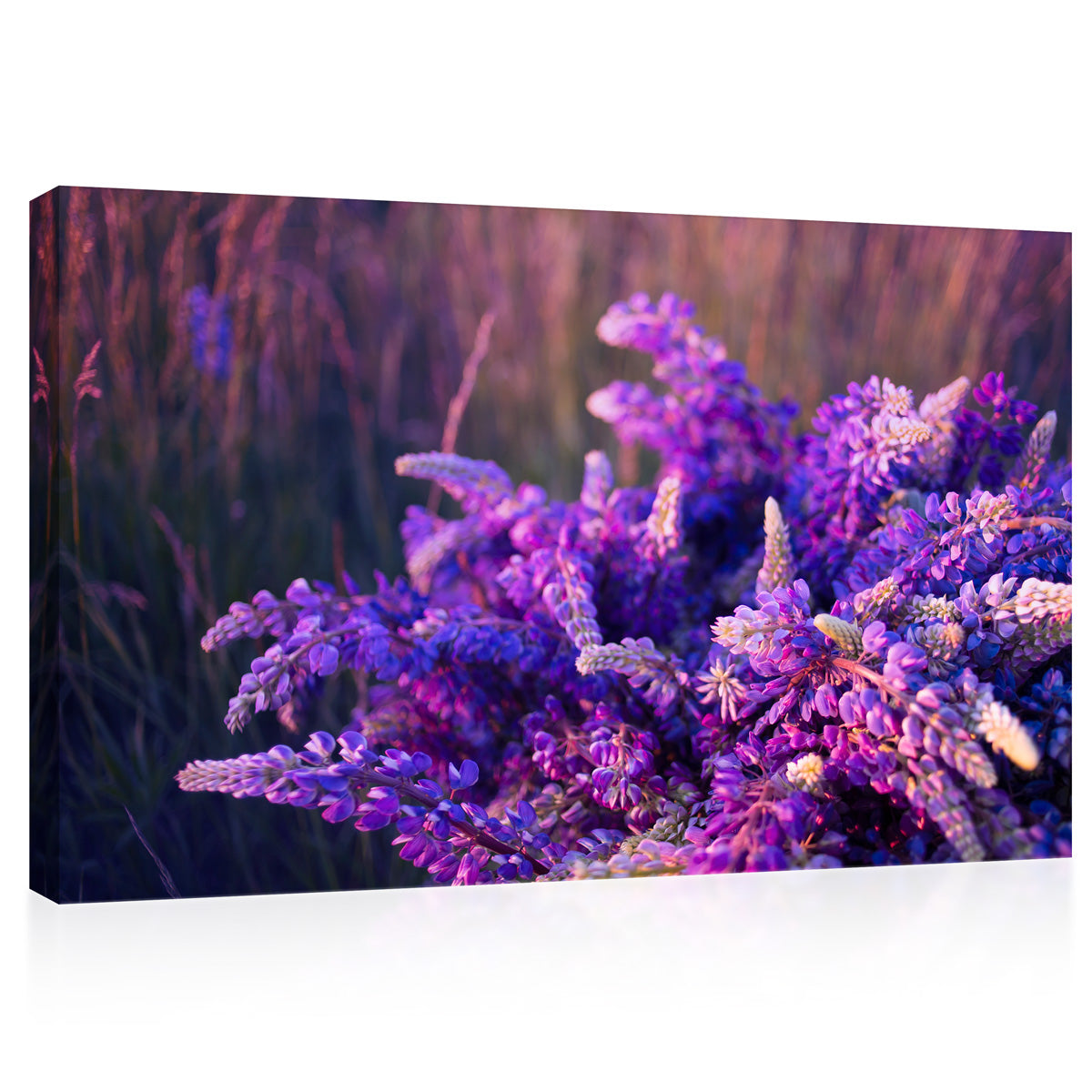 Canvas Print -  Violet And Pink Lupines In Meadow #E0586