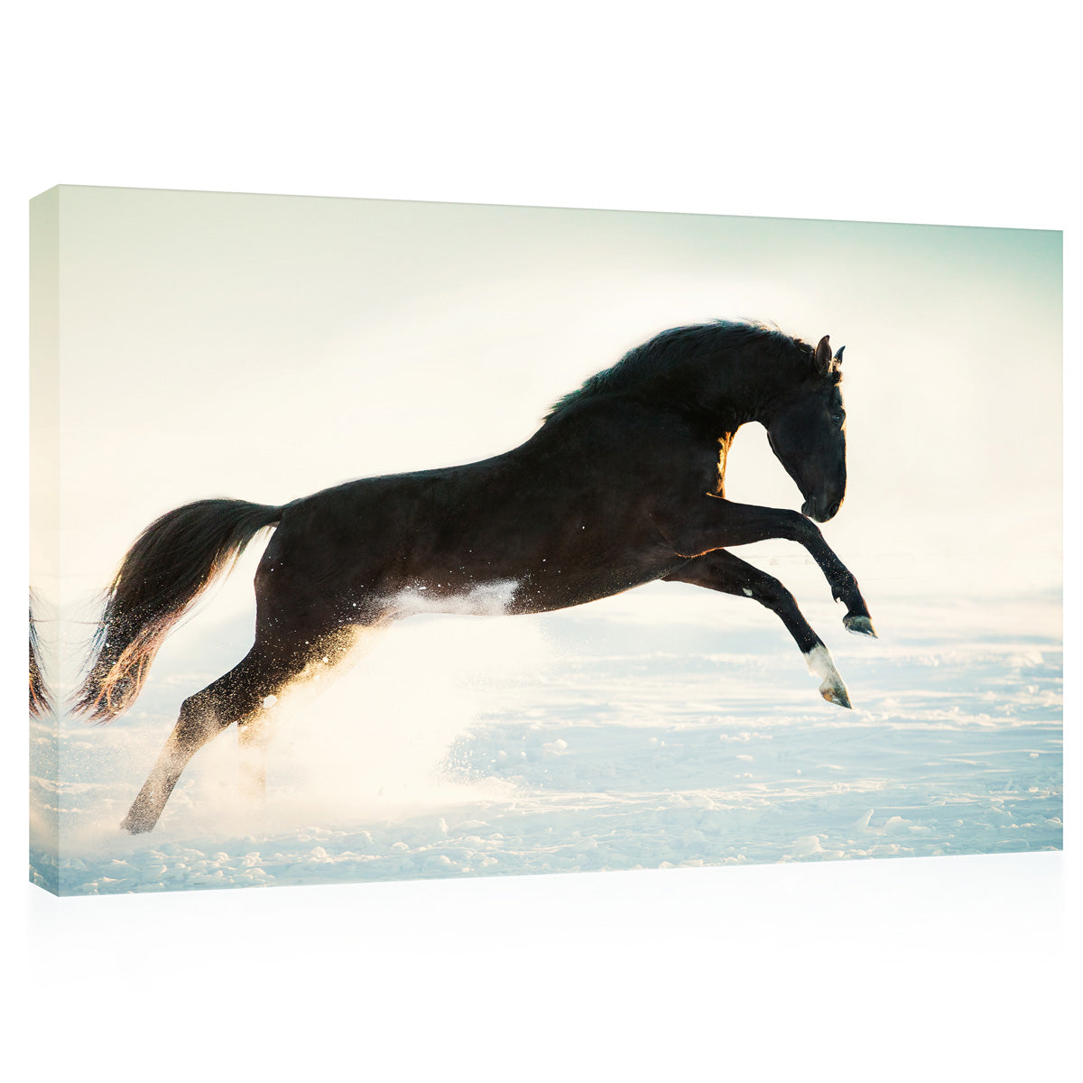 Canvas Print -  Black Noble Horse In Winter #E0952