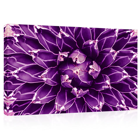 Canvas Print - Agave Cactus ، Violet Toned #E0647