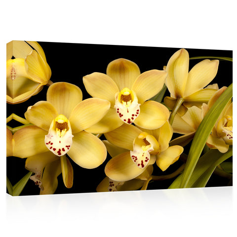 Impression sur toile - Orchidées jaunes #E0684