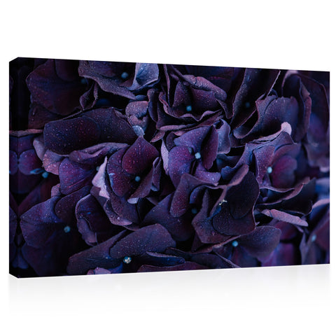 Canvas Print -  Dark Purple Hydrangea Flower #E0835