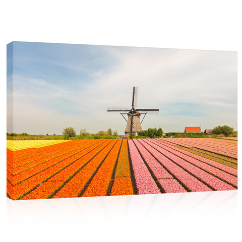 Impression sur toile - Champ fleuri de tulipes colorées et moulin à vent #E0741