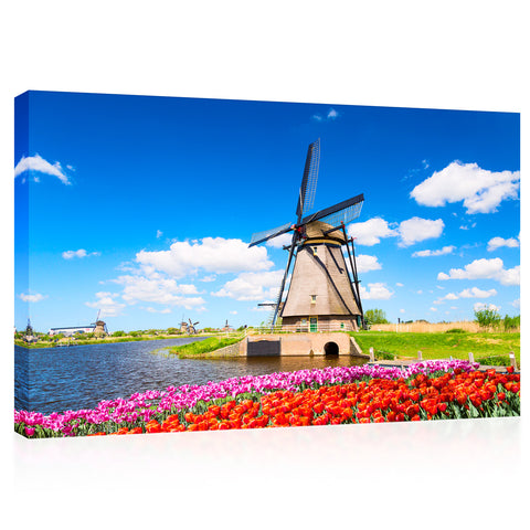 Canvas Print -  Tulip Flowerbed In Summer, Holland #E0746