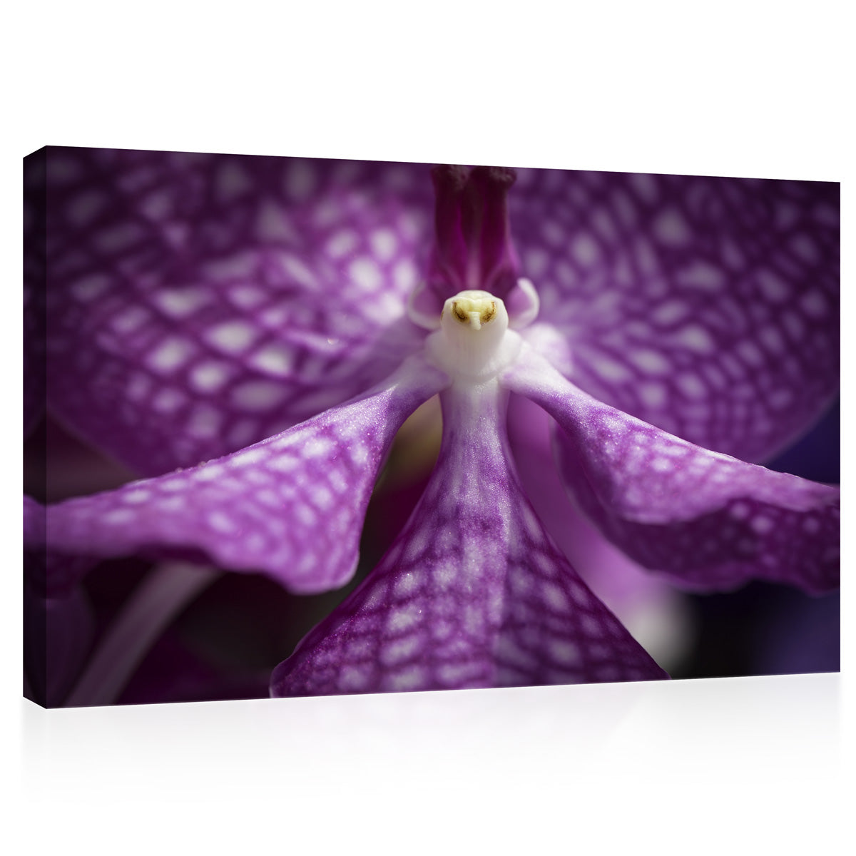 Impression sur toile - Orchidée pourpre #E0673