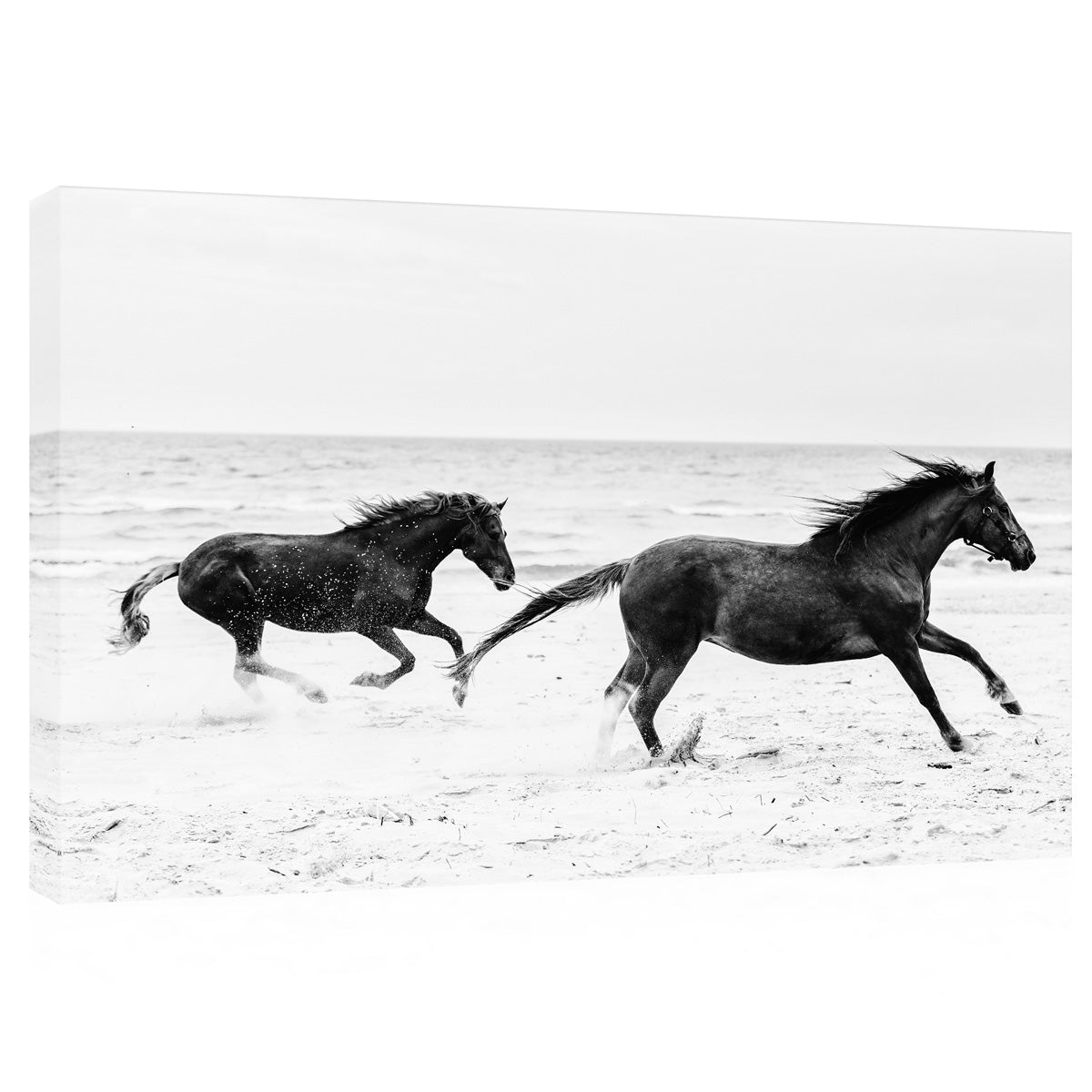 Canvas Print -  Two Horses Running On The Seashore #E0894