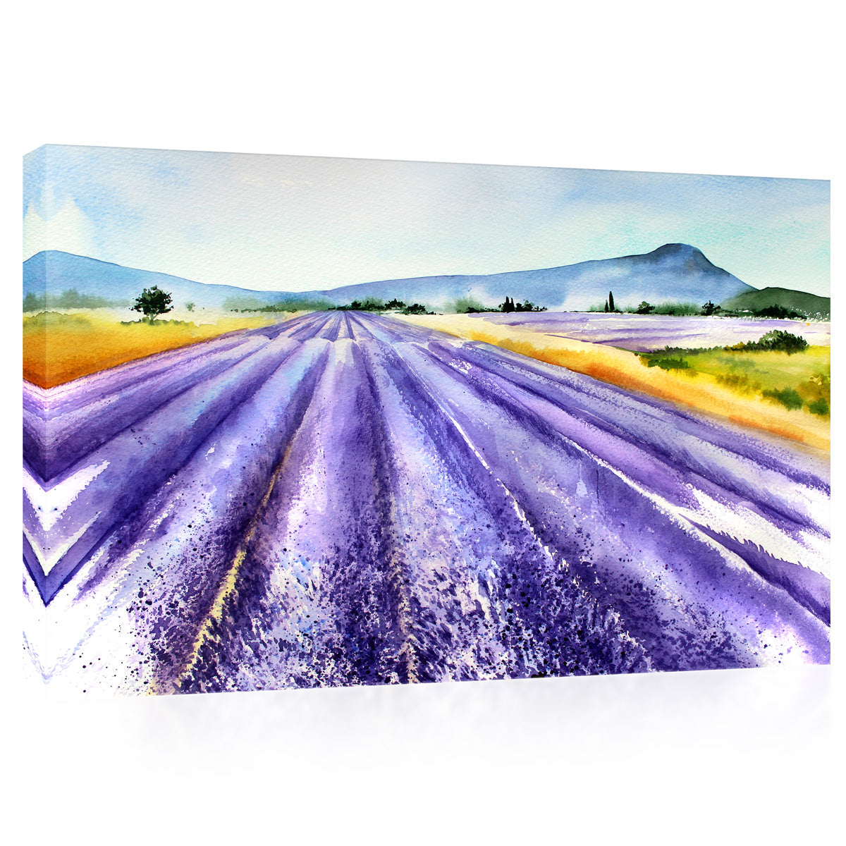 Canvas Print -  Landscape With Lavender, Watercolor Painting #E0781