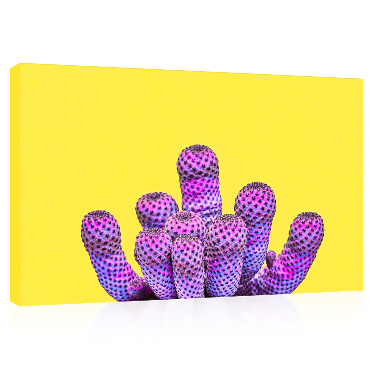 Tableau sur toile - Cactus violet sur fond jaune #E0806