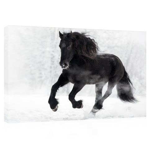 Canvas Print -  Black Frisian Horse In Winter #E1018