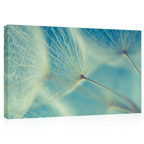 Canvas Print -  Dandelions At Morning #E0829