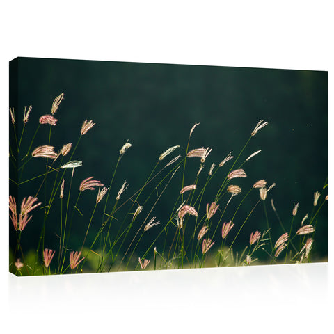 Canvas Print -  Grass Flowers On Lawn #E0632