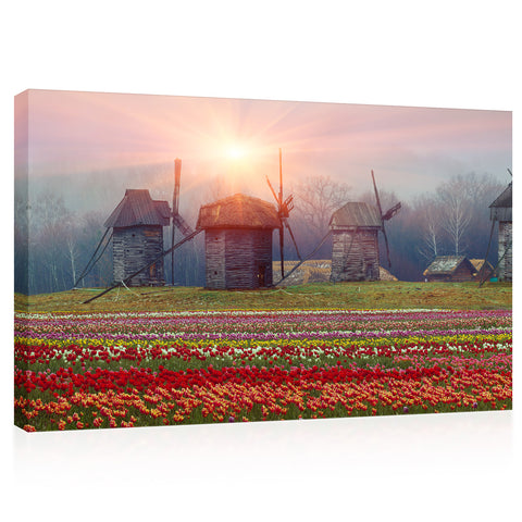 Impression sur toile - Plantation de tulipes et vieux moulins #E0730