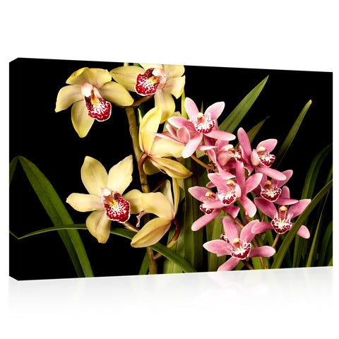 Canvas Print -  Pink And Yellow Orchids #E0675