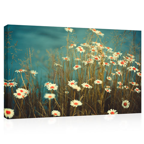 Canvas Print -  Daises Flowers #E0855