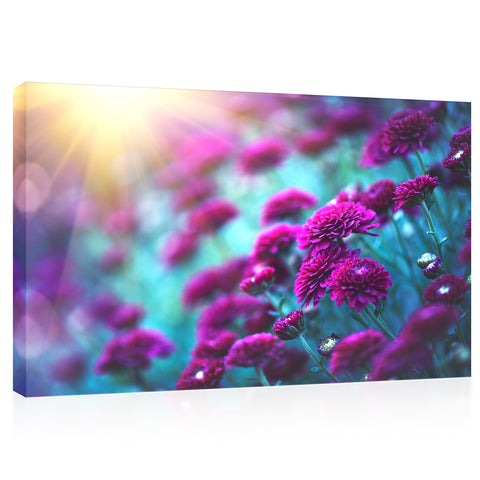 Canvas Print -  Purple Chrysanthemums At Sunrise #E0801