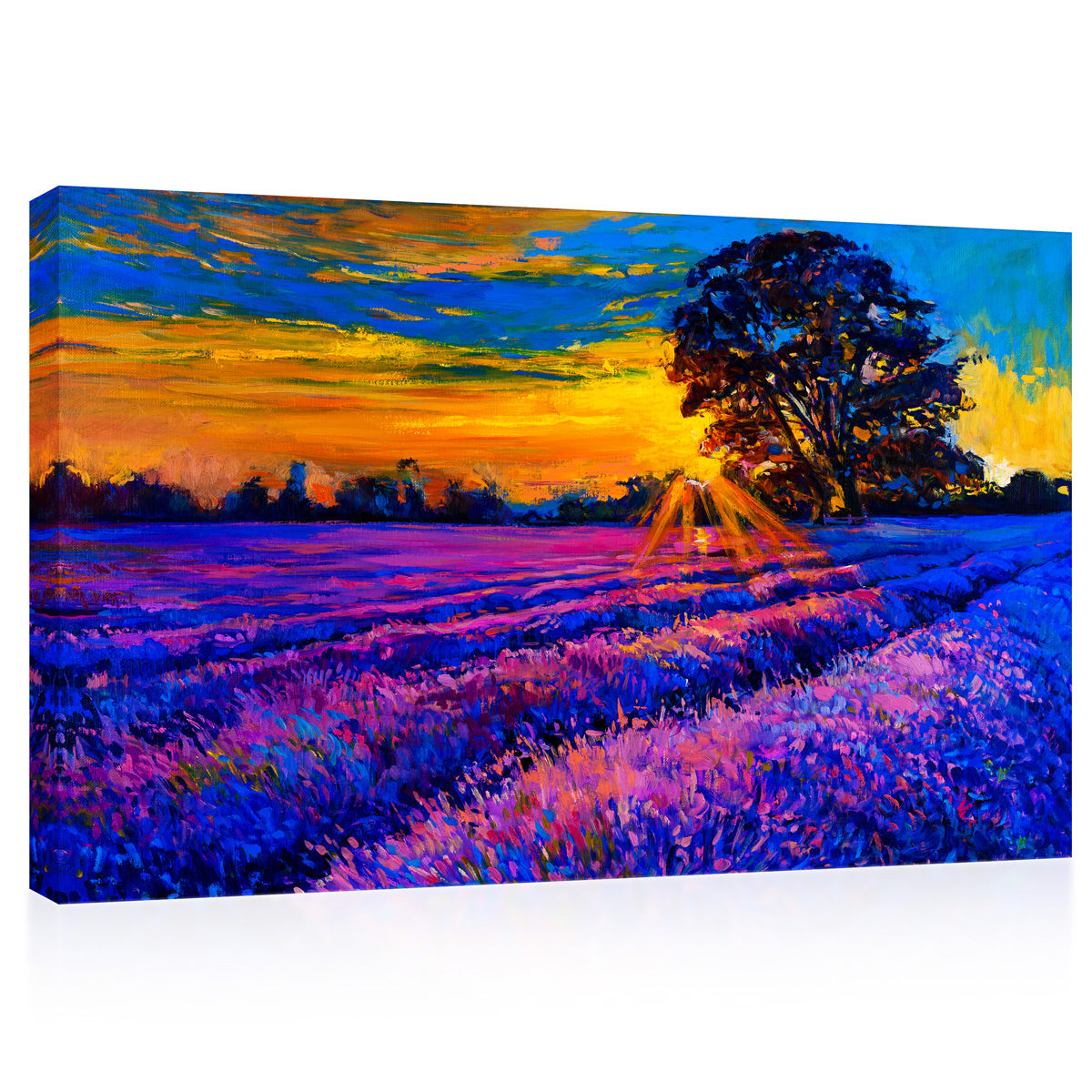 Canvas Print -  Lavender Field At Sunrise, Oil Painting #E0601