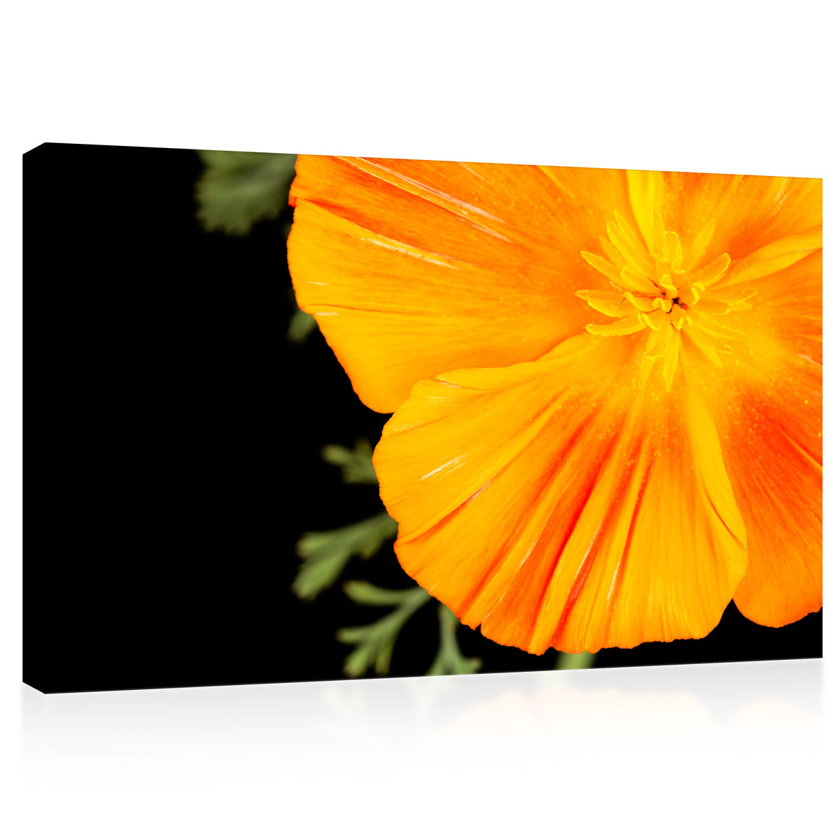 Impression sur toile - Eschscholzia orange #E0677