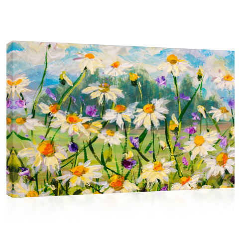 Canvas Print -  Daises Field At Summer, Oil Painting #E0850