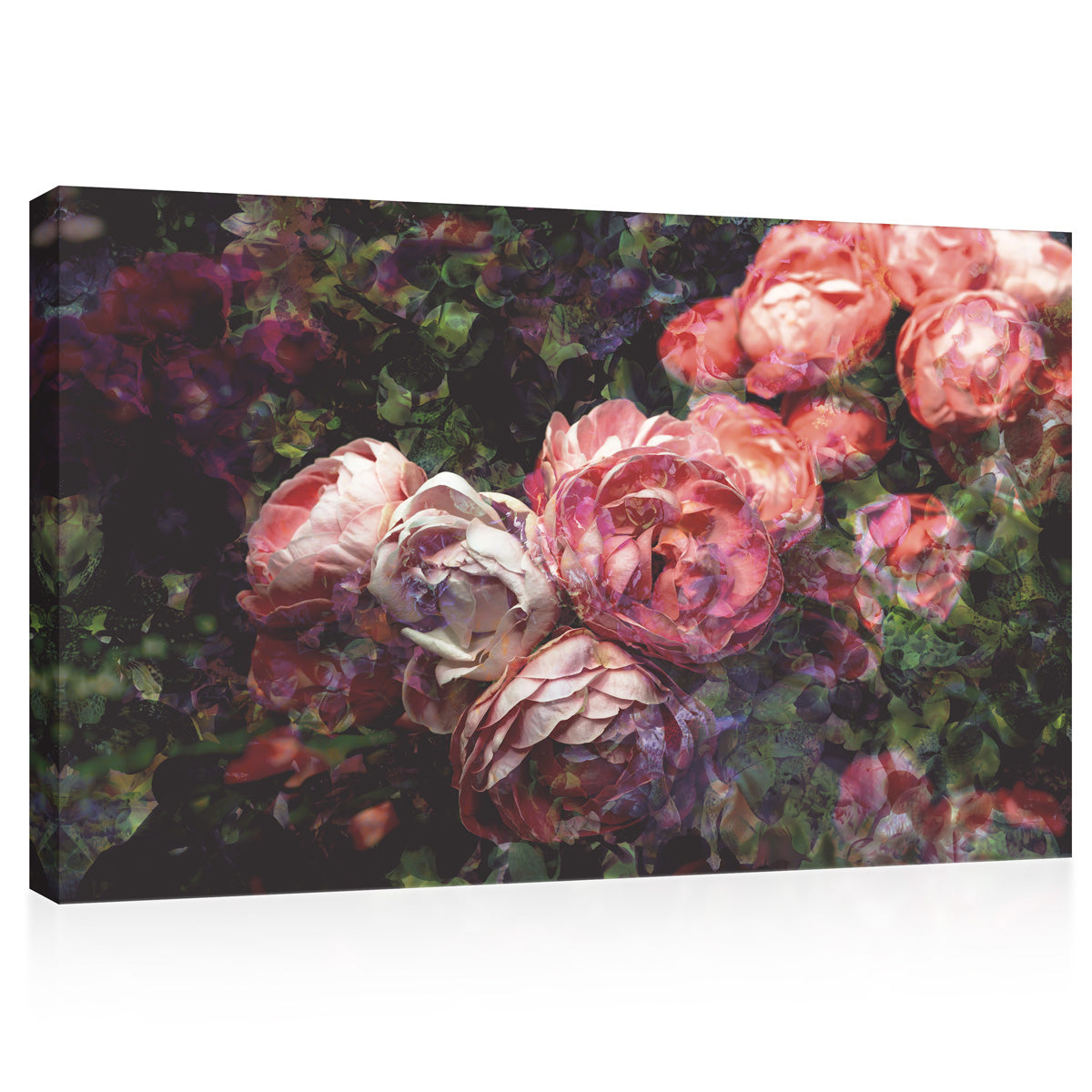 Canvas Print -  Peony Buds #E0830