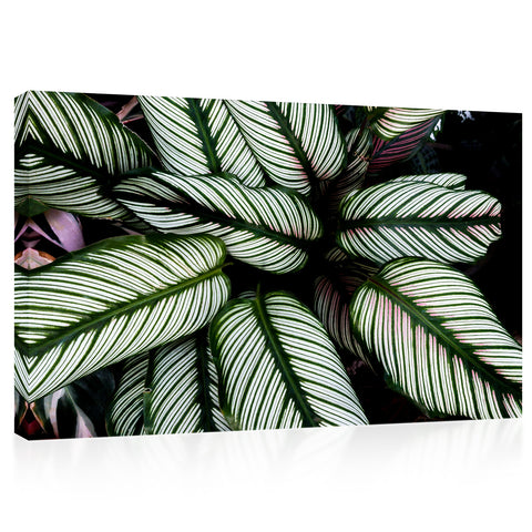 Canvas Print -  Striped Tropical Leafs #E0634