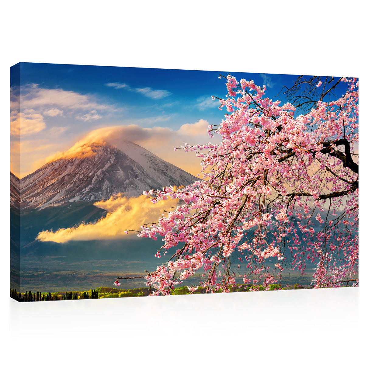 Impression sur toile - Mont Fuji et fleurs de cerisier au printemps, Japon #E0495