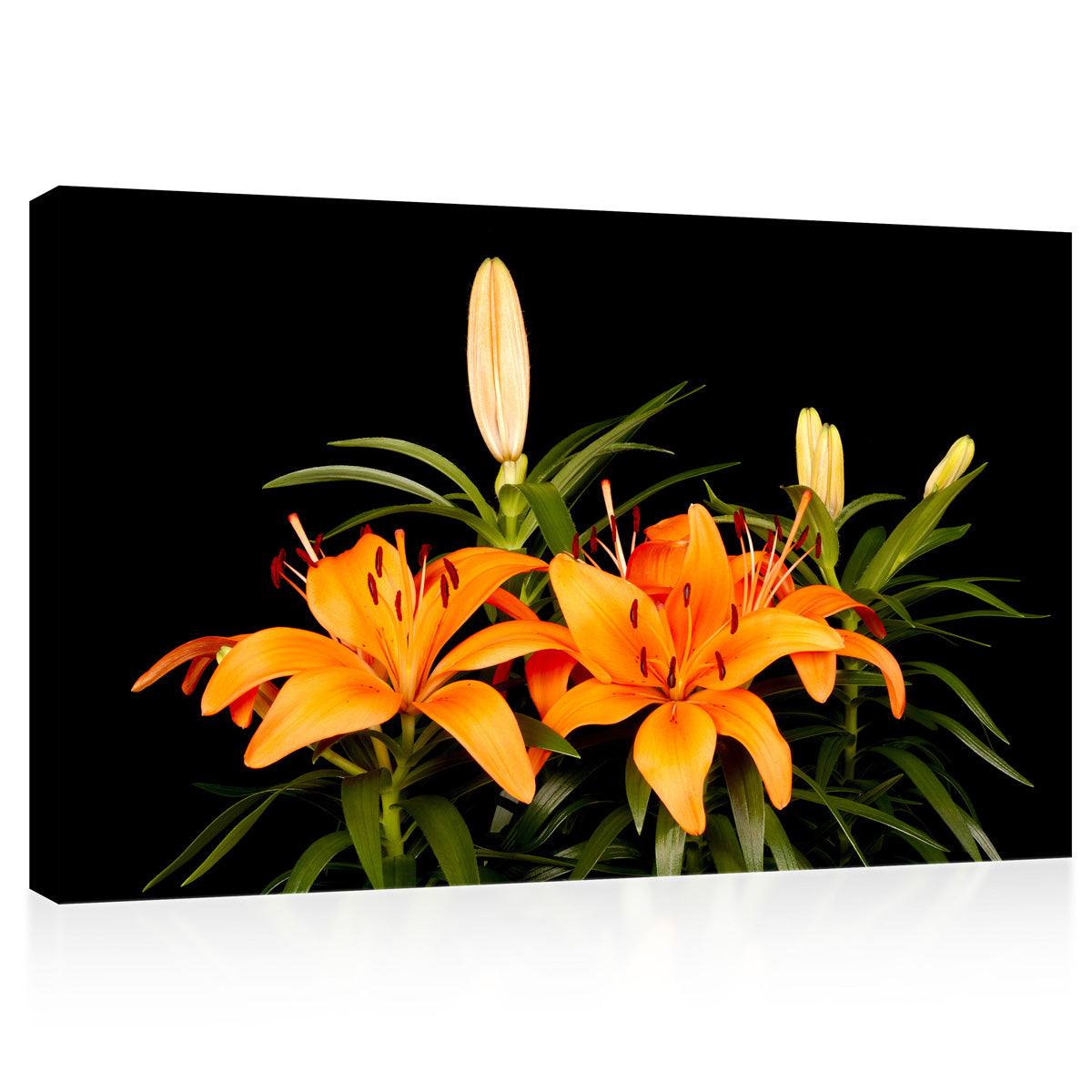 Canvas Print -  Wonderful Orange Lilies #E0691