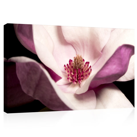 Canvas Print -  Light Pink Magnolia #E0693