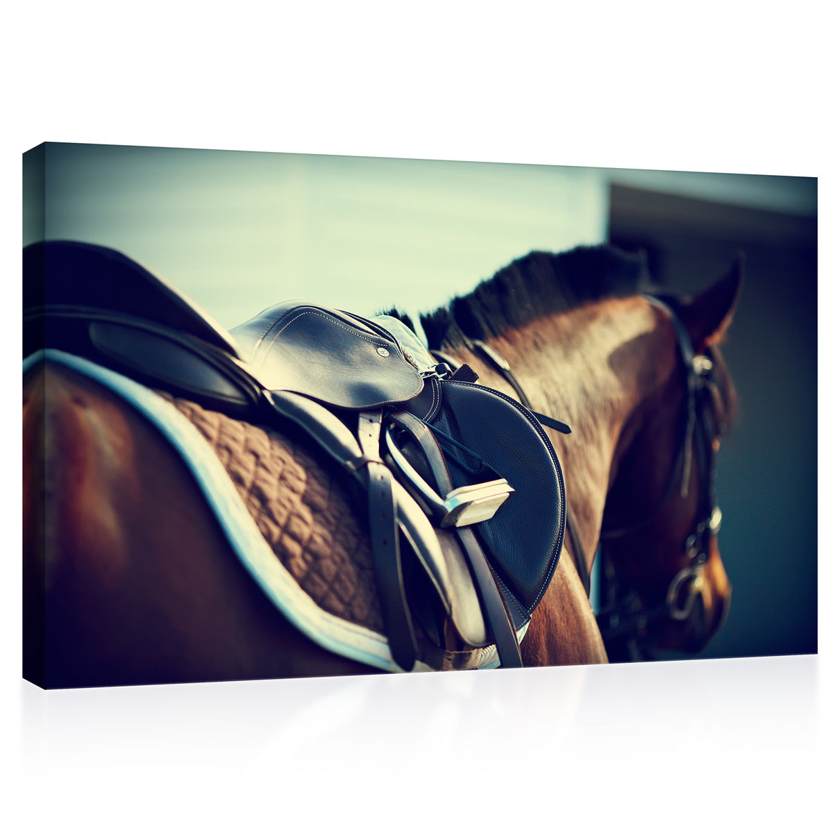 Canvas Print -  Saddle With Stirrups On A Back Of Horse #E0948