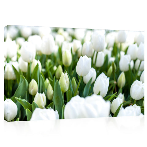 Impression sur toile - Tulipes blanches #E0739