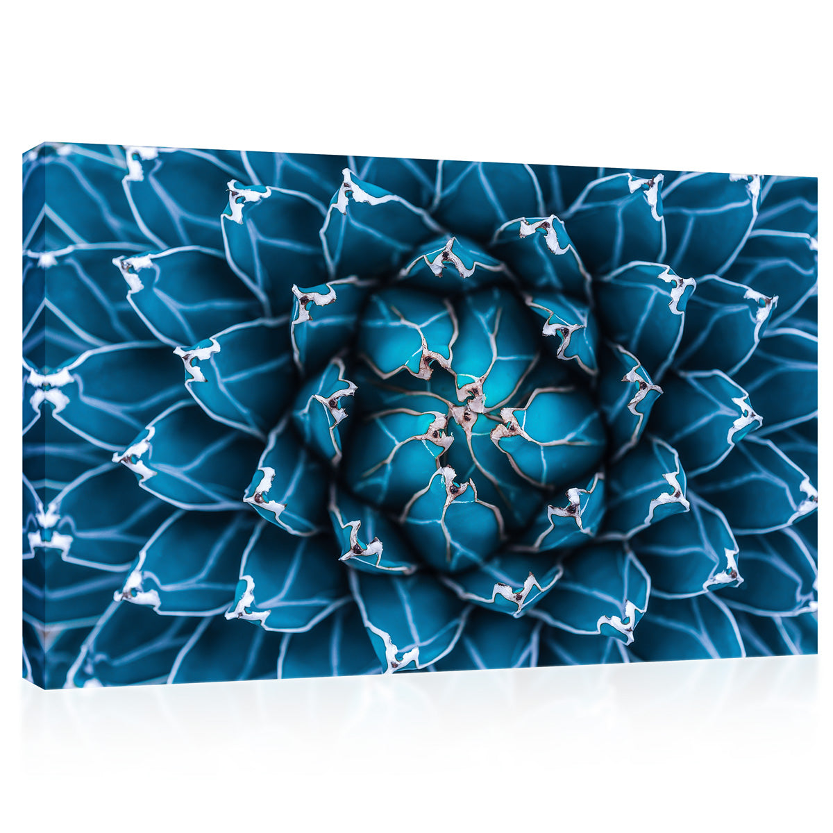 Impression sur toile - Agave Cactus, bleu foncé # E0650