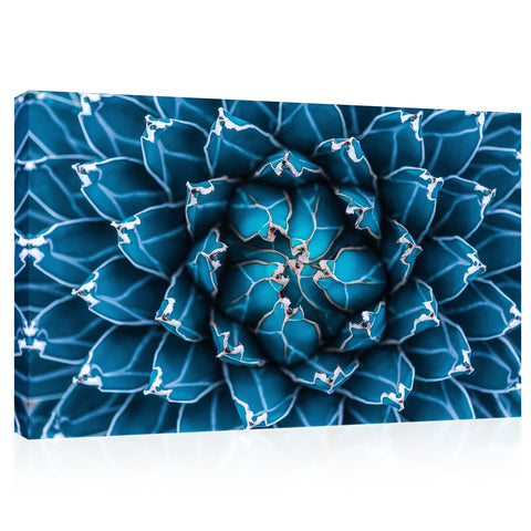 Canvas Print -  Agave Cactus, Dark Blue Toned #E0650