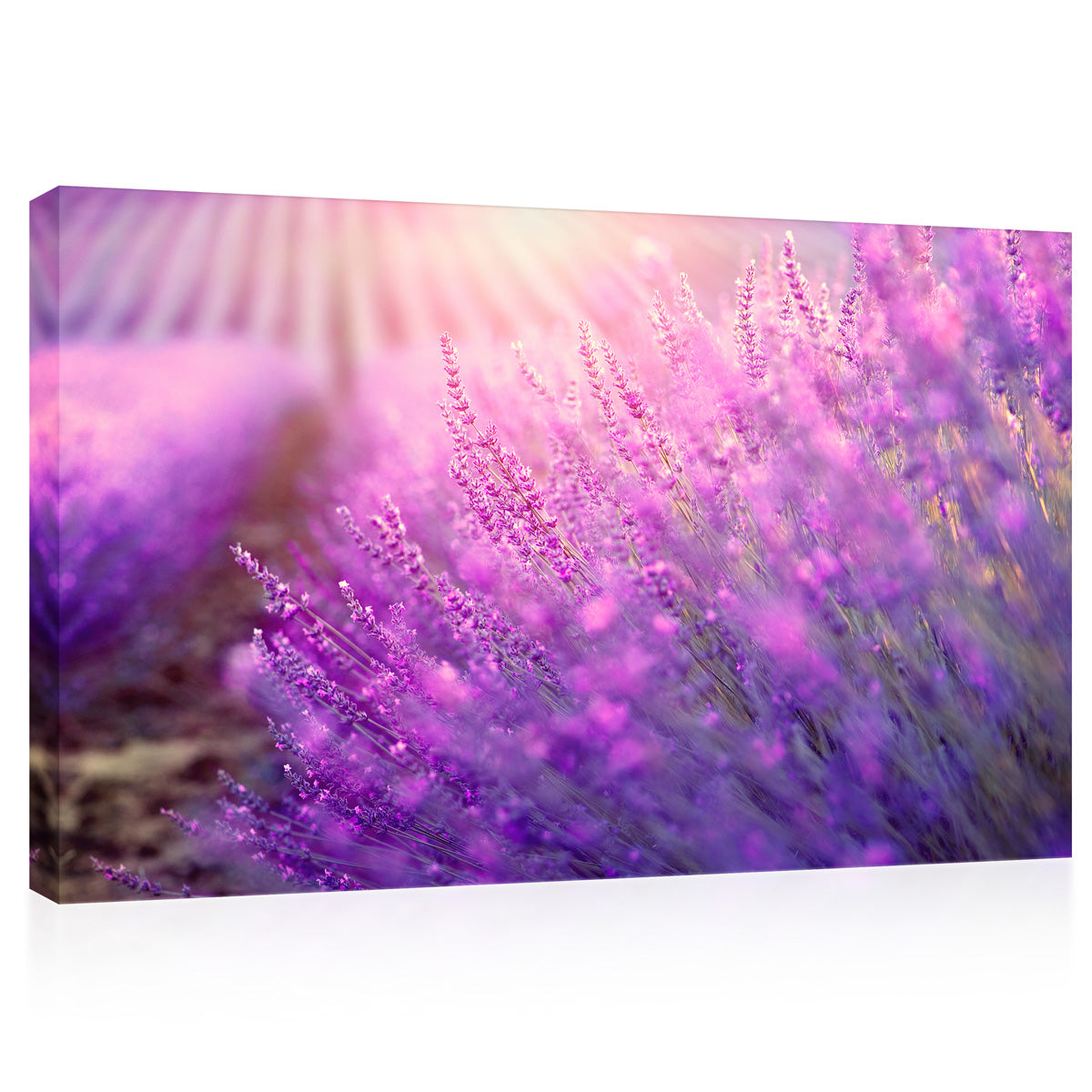 Impression sur toile - Fleurs de lavande en fleurs #E0791