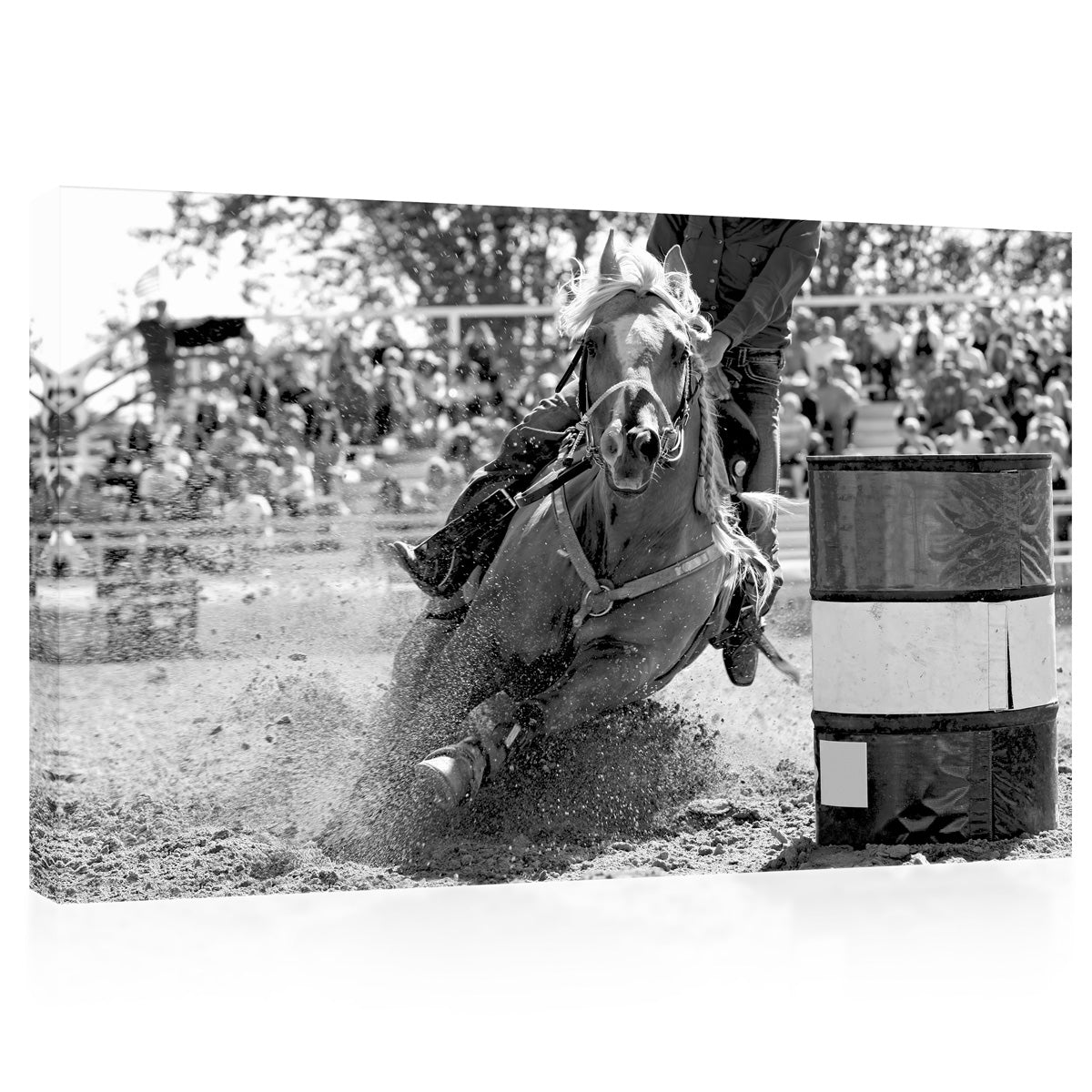 Canvas Print -  Horse Rodeo #E0926